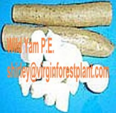 Wild Yam P.E.(Shirley At Virginforestplant Dot Com) 